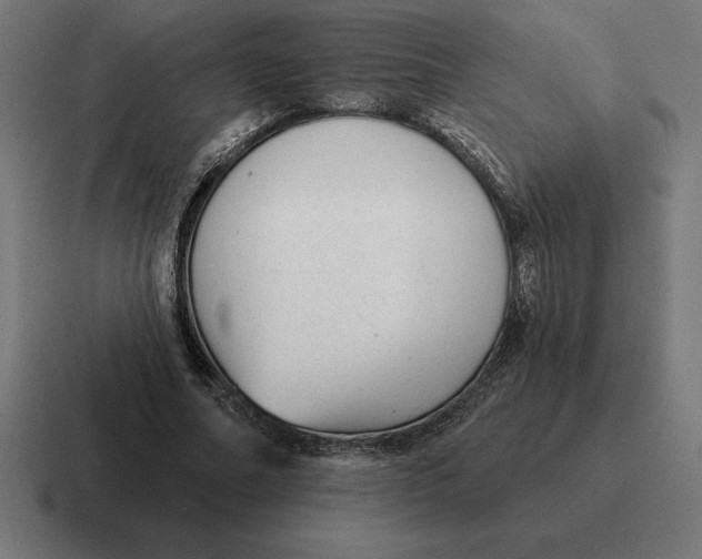 X0000116810682200912311956