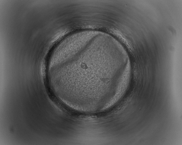 X0000116810683200912311956