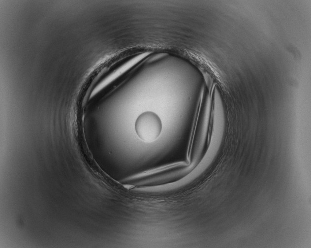 X0000116810684200912311956