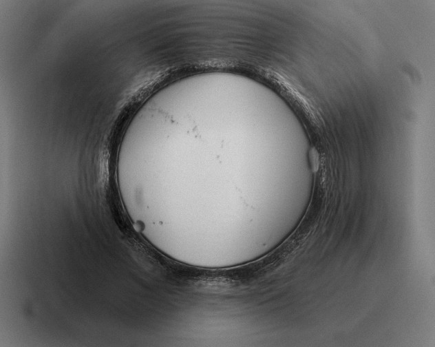 X0000116810685200912311956