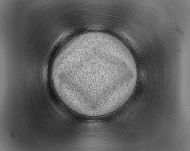 X0000116810686200912311956