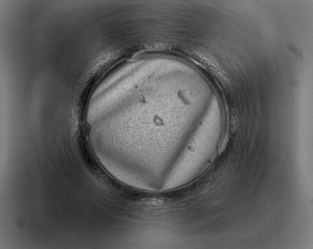 X0000116810687200912311956