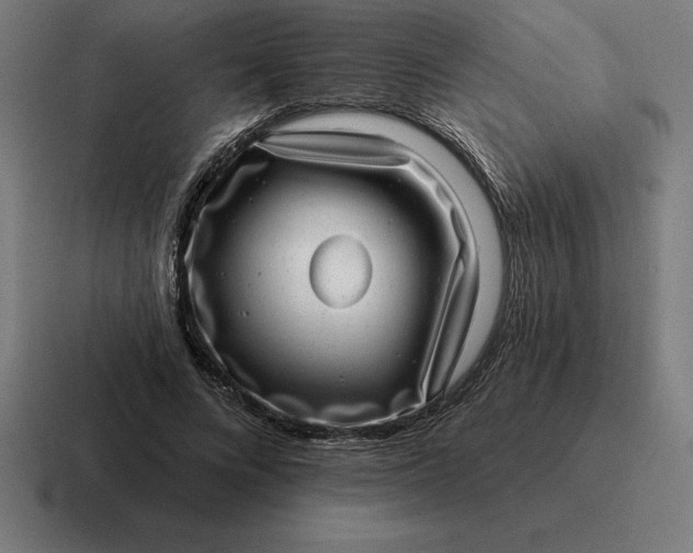 X0000116810688200912311956