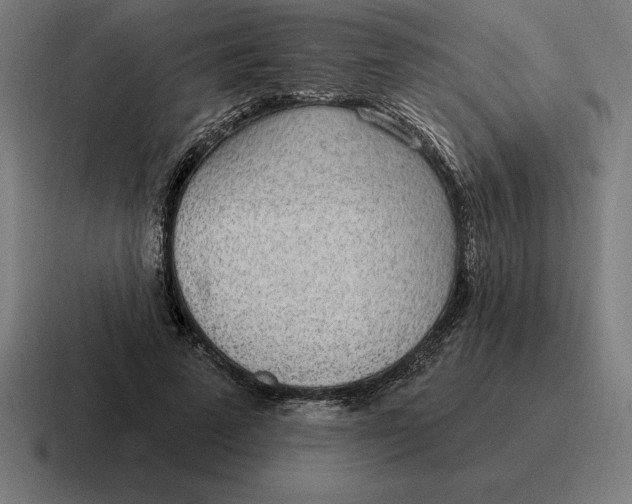 X0000116810689200912311956