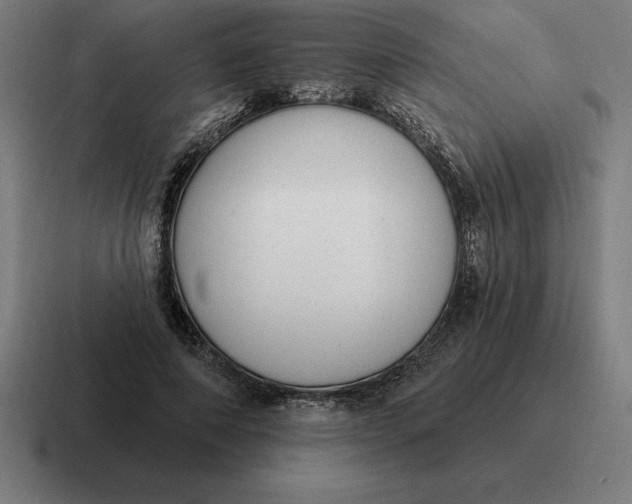 X0000116810690200912311956