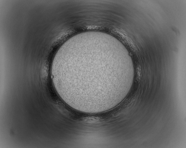 X0000116810691200912311956