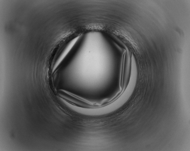 X0000116810692200912311956