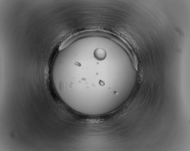 X0000116810693200912311956