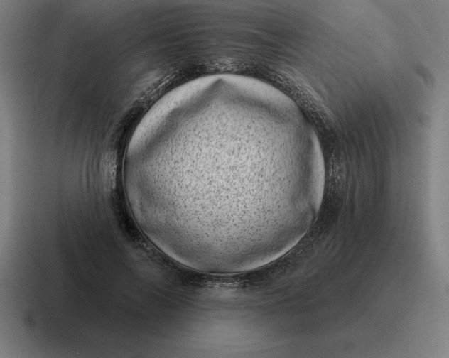 X0000116810694200912311956