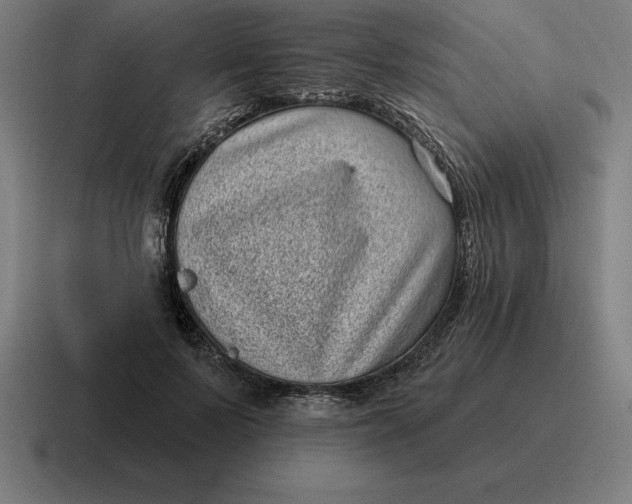 X0000116810695200912311956