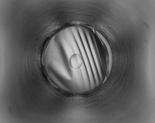 X0000116810696200912311956