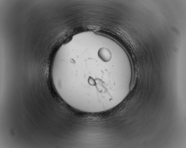 X0000116810697200912311956