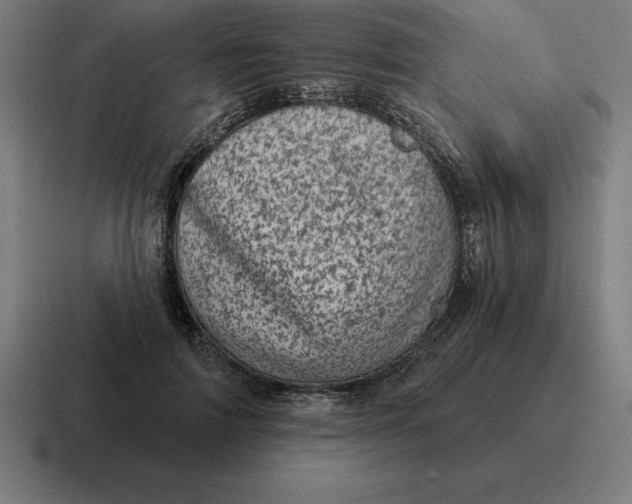 X0000116810698200912311956