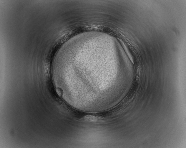 X0000116810699200912311956