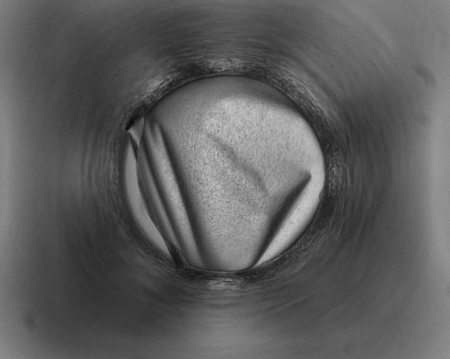 X0000116810700200912311956