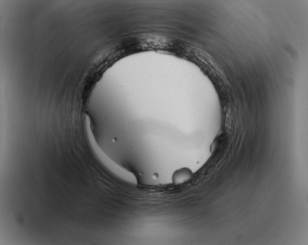 X0000116810701200912311956