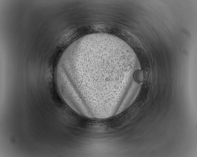 X0000116810702200912311956