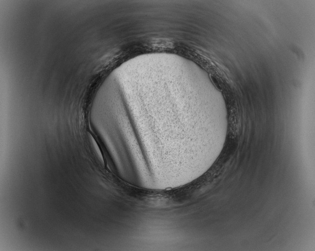 X0000116810704200912311956