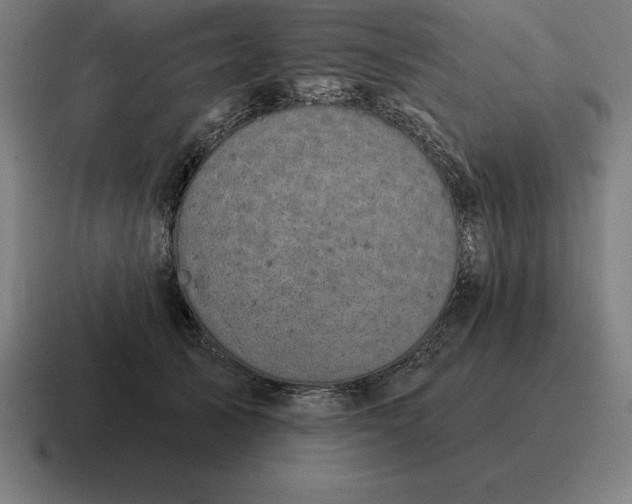 X0000116810705200912311956