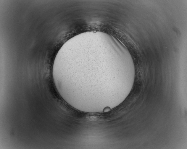 X0000116810706200912311956