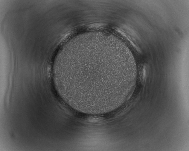 X0000116810708200912311956