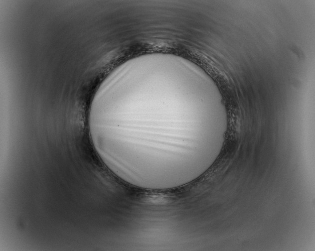 X0000116810710200912311956