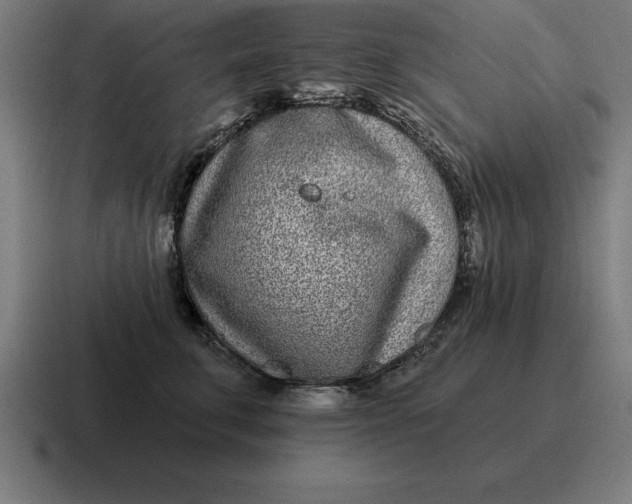 X0000116810711200912311956