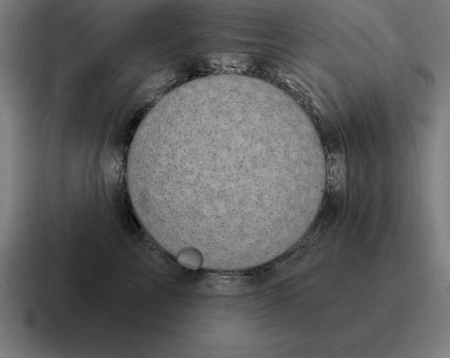 X0000116810713200912311956