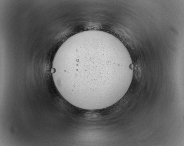 X0000116810714200912311956