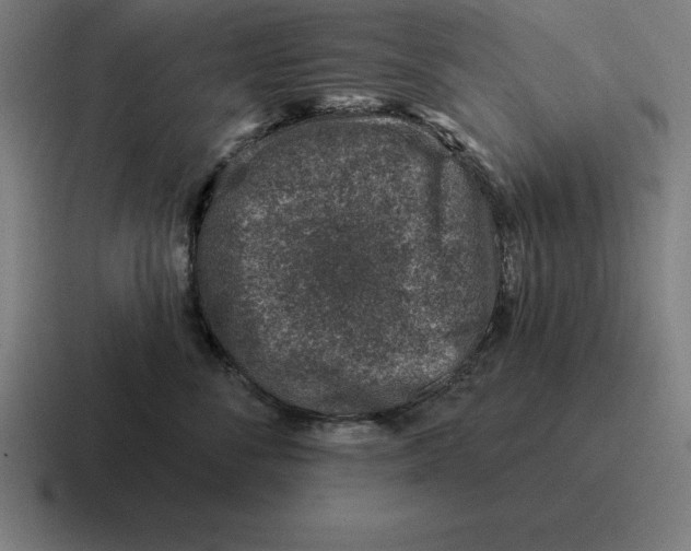 X0000116810716200912311956