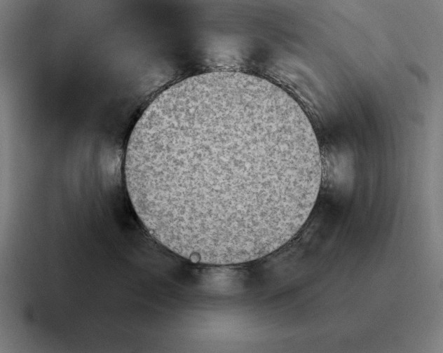 X0000116810717200912311956