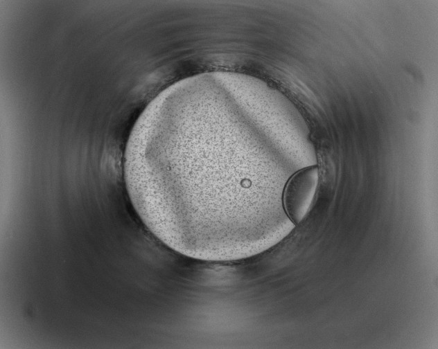 X0000116810718200912311956