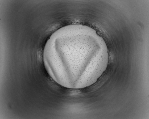 X0000116810719200912311956