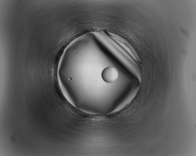 X0000116810720200912311956