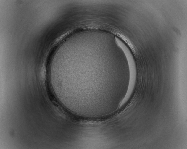 X0000116810722200912311955