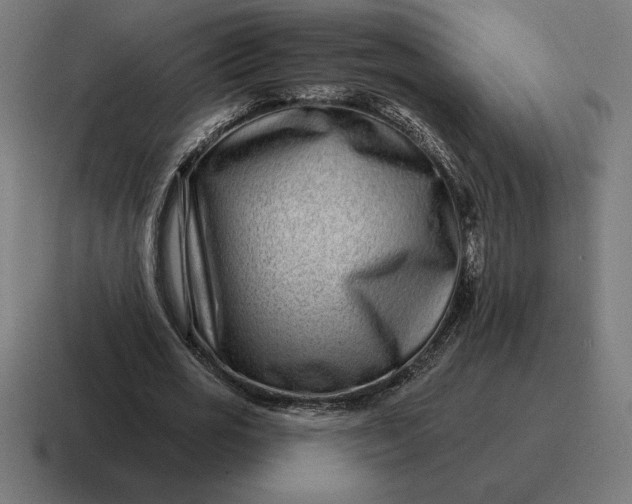 X0000116810725200912311955