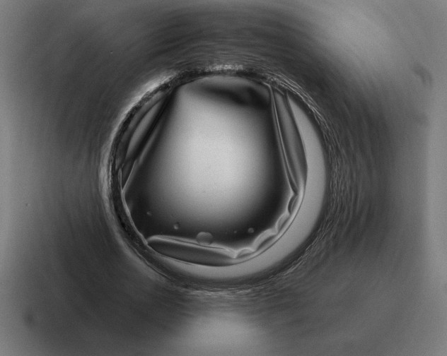 X0000116810726200912311955