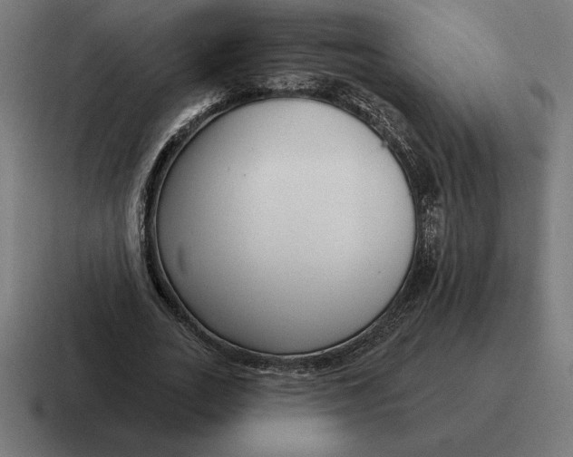 X0000116810727200912311955