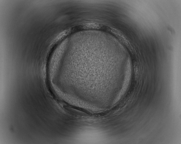 X0000116810729200912311955