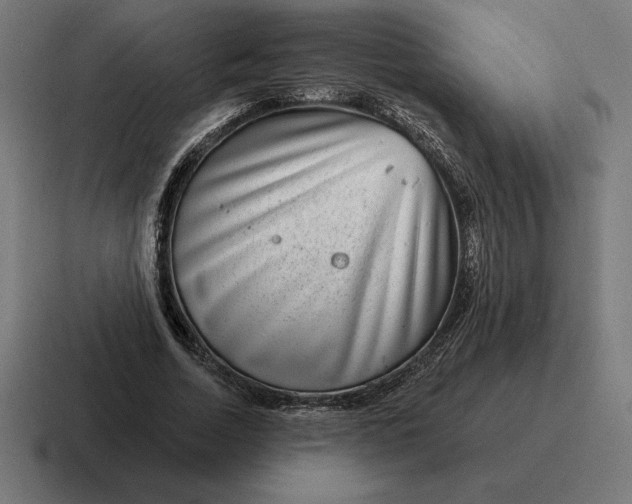 X0000116810730200912311955