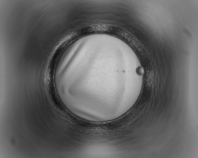 X0000116810731200912311955