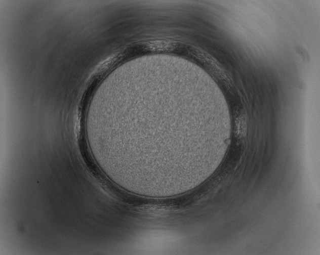 X0000116810733200912311955