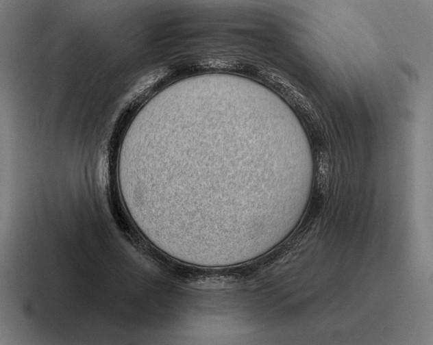 X0000116810734200912311955