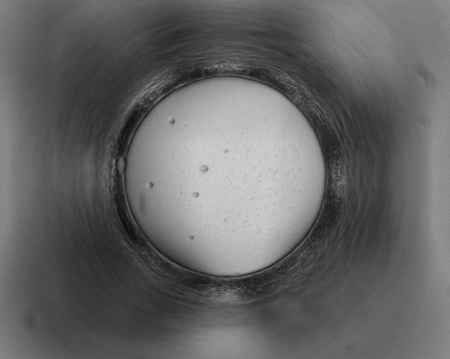 X0000116810735200912311955