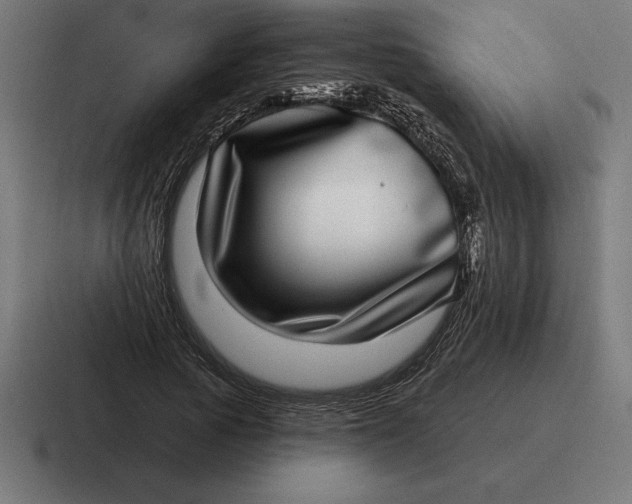 X0000116810737200912311955