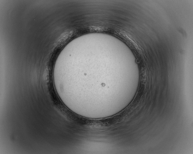 X0000116810738200912311955