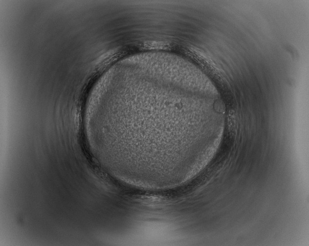 X0000116810741200912311955