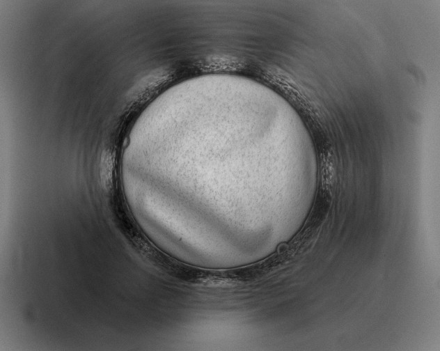 X0000116810742200912311955