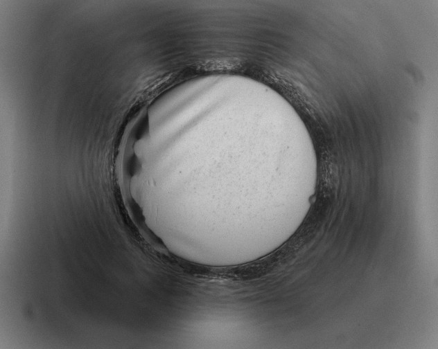 X0000116810743200912311955