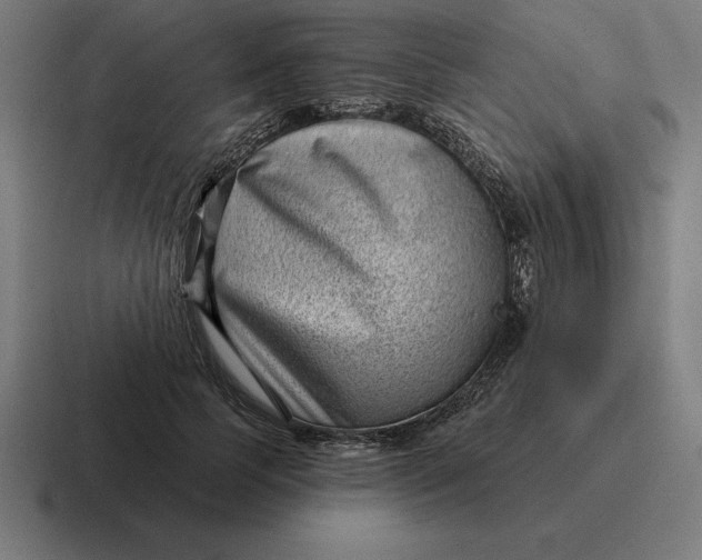 X0000116810745200912311955